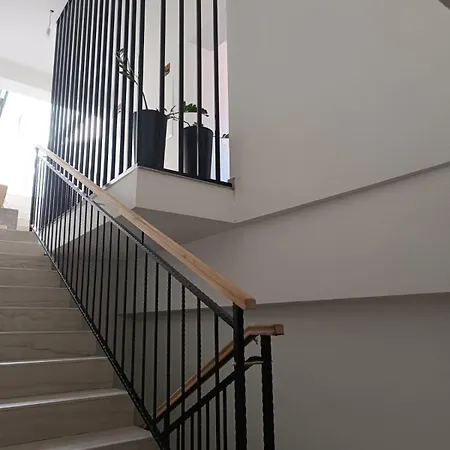 Apartment Srdarovic Drage