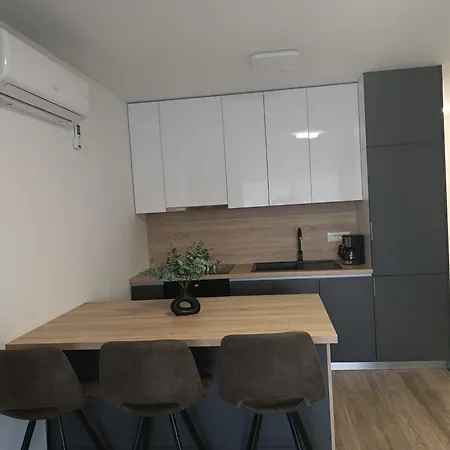Apartment Srdarovic *