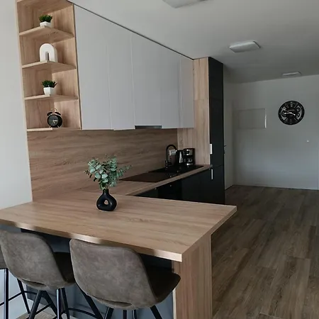 Srdarovic Apartment *