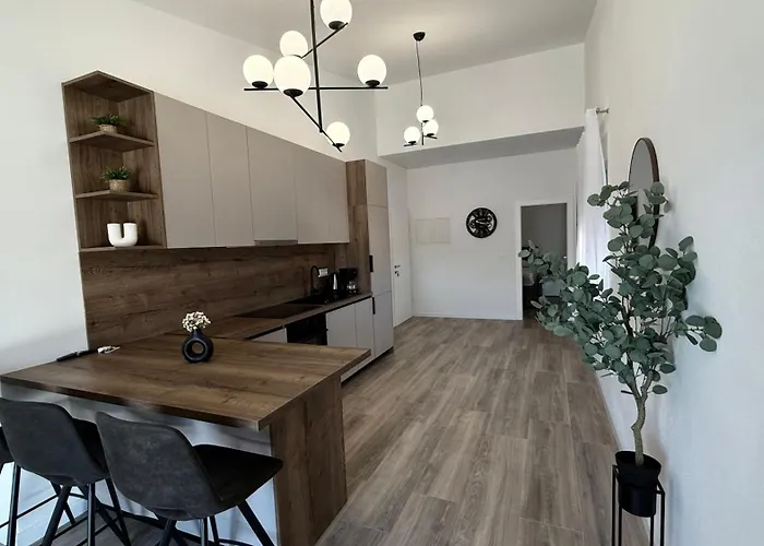 Apartament Srdarović *